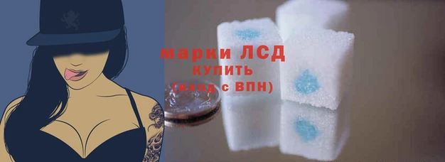 индика Лагань