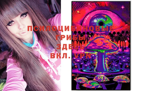 индика Лагань