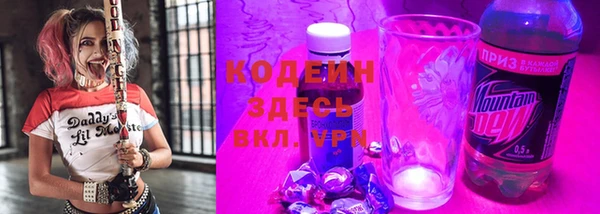 ECSTASY Липки