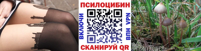 Купить где  Апатиты  Галлюциногенные грибы ЛСД 