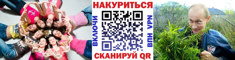 Конопля семена  Купить  Апатиты 